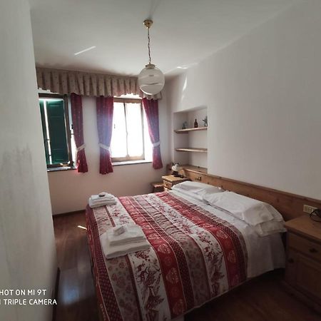 La Favorita Bed & Breakfast Lozzo Cadore Ngoại thất bức ảnh