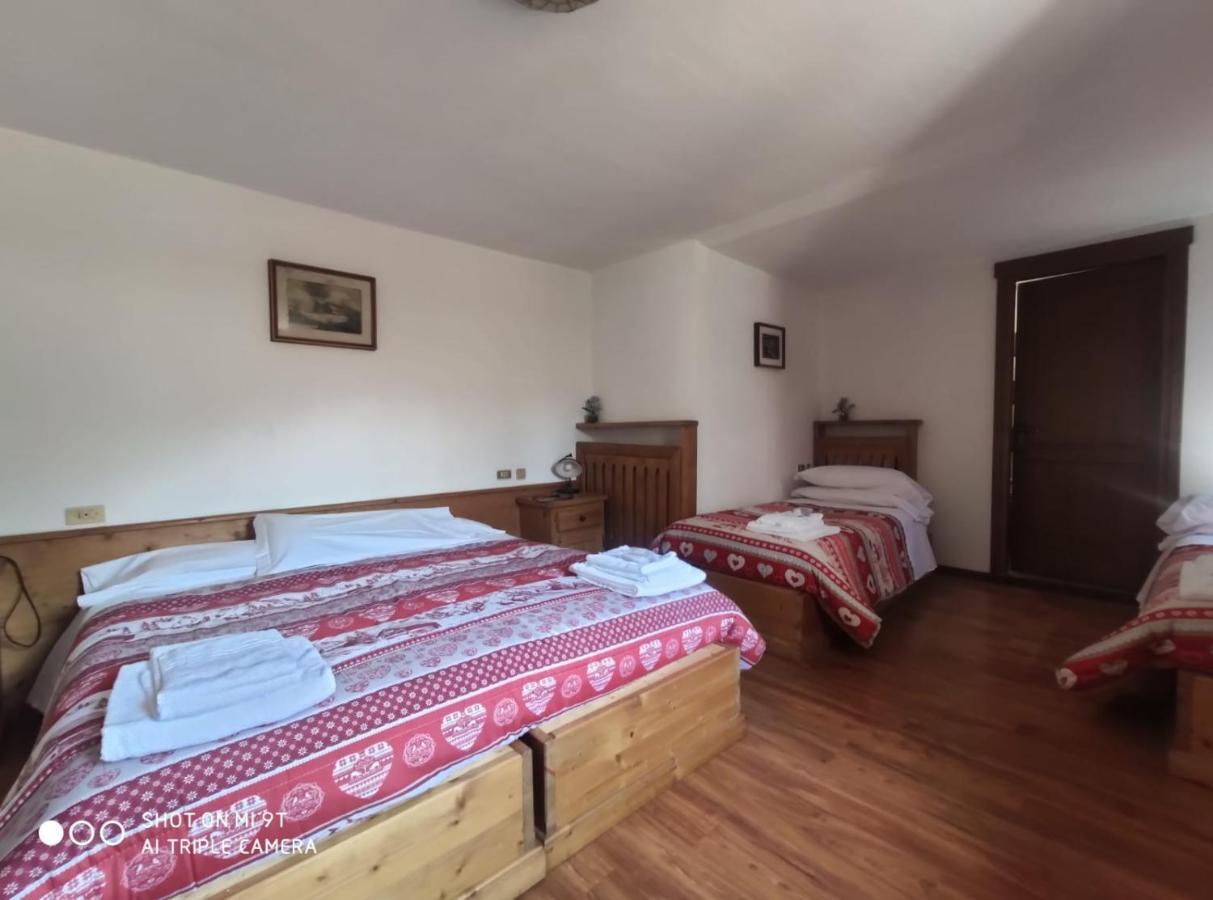 La Favorita Bed & Breakfast Lozzo Cadore Ngoại thất bức ảnh