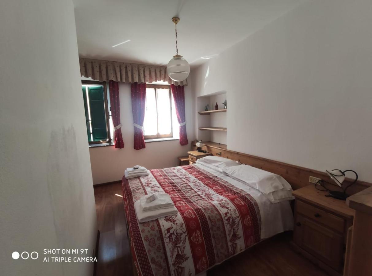 La Favorita Bed & Breakfast Lozzo Cadore Ngoại thất bức ảnh