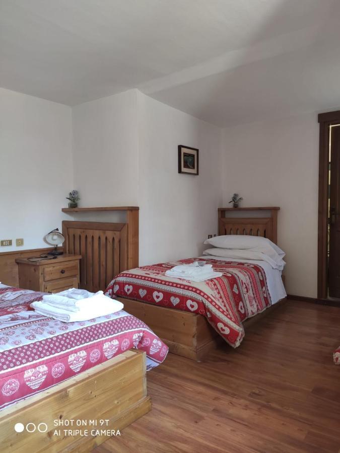 La Favorita Bed & Breakfast Lozzo Cadore Ngoại thất bức ảnh
